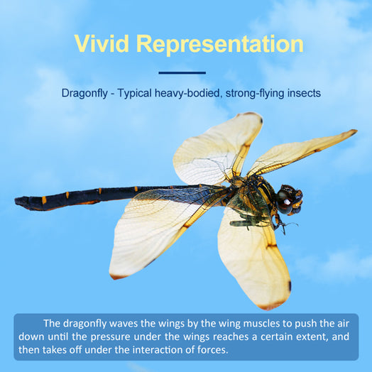 Golden Dragonfly Kinetic Art 3D Metal Model Kits 100pcs